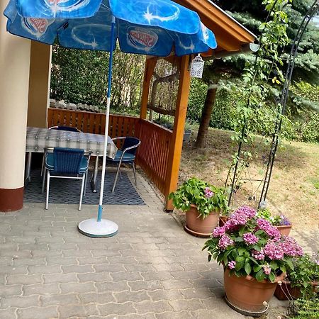 Katalin App. Zalagyoengye Apartment Zalakaros Luaran gambar